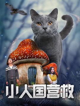 婷婷91